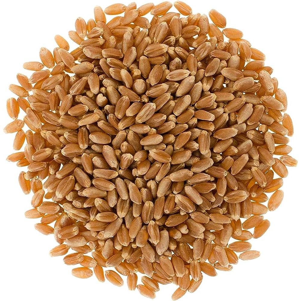 wheatquality